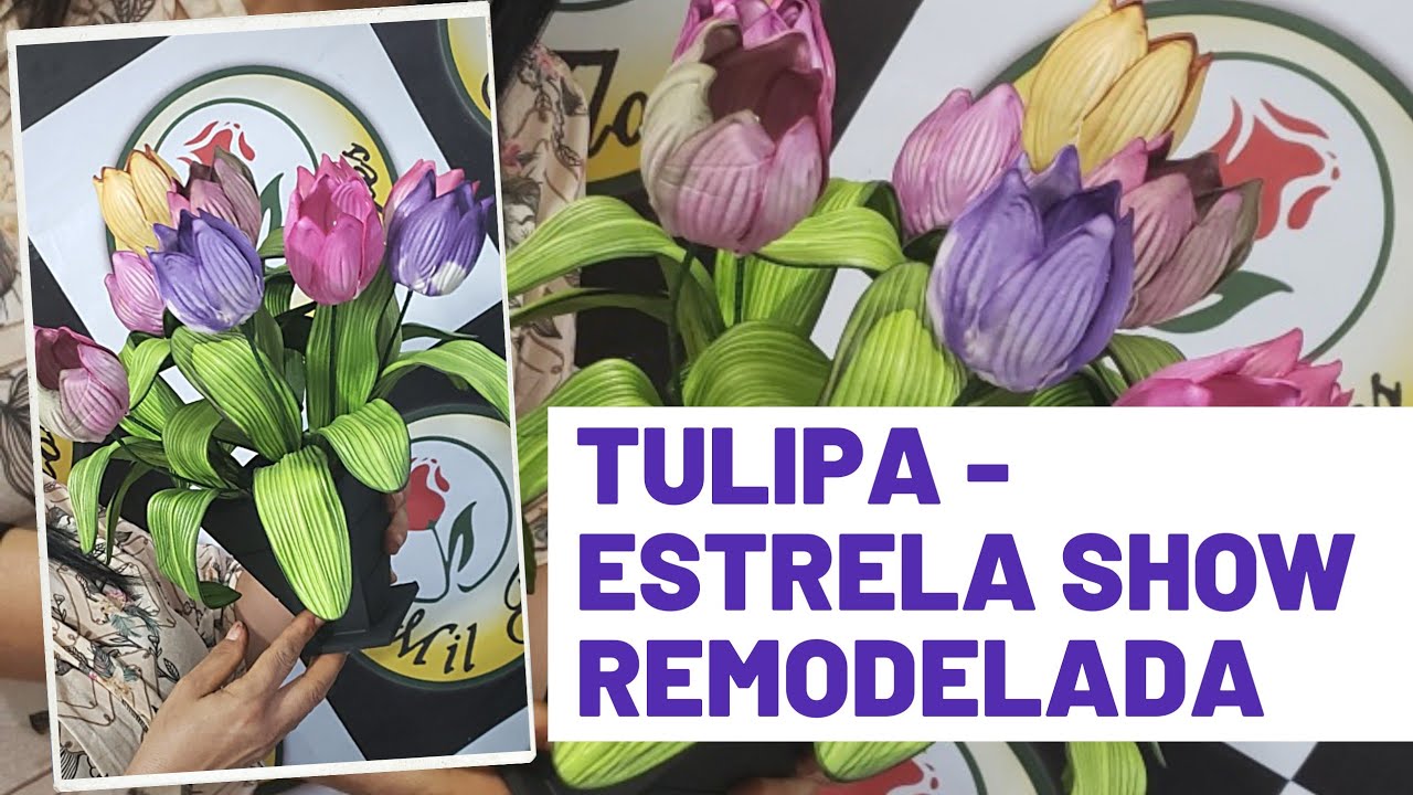TULIPA - ESTRELA SHOW REMODELADA