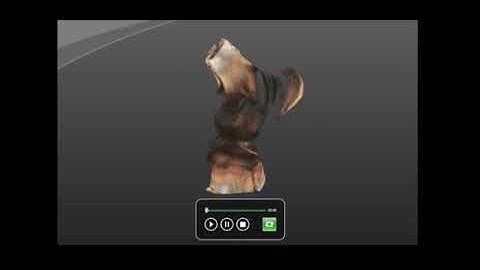 Bewegungssimulation (Arthroseprävention)