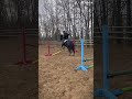 Not my horse! Just rode a friends horse for fun