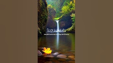 تلاوة جميلة من سورة الكهف(القارئ ياسر الدوسري)🌿🌿🌿