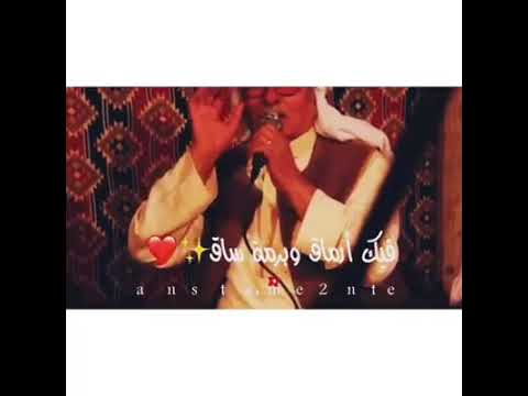 انتي يا ونسه بالروين حالة واتساب 