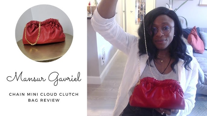 Mansur Gavriel Soft Lady Bag Review