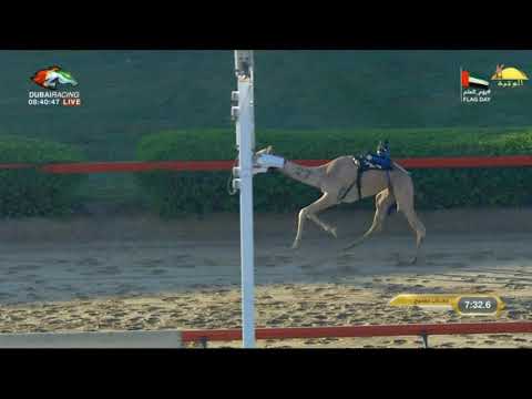 ملخص اخر 200 متر لميدان المرموم مهرجان خطاك الشر 2020 11 3 المرموم اللقايا