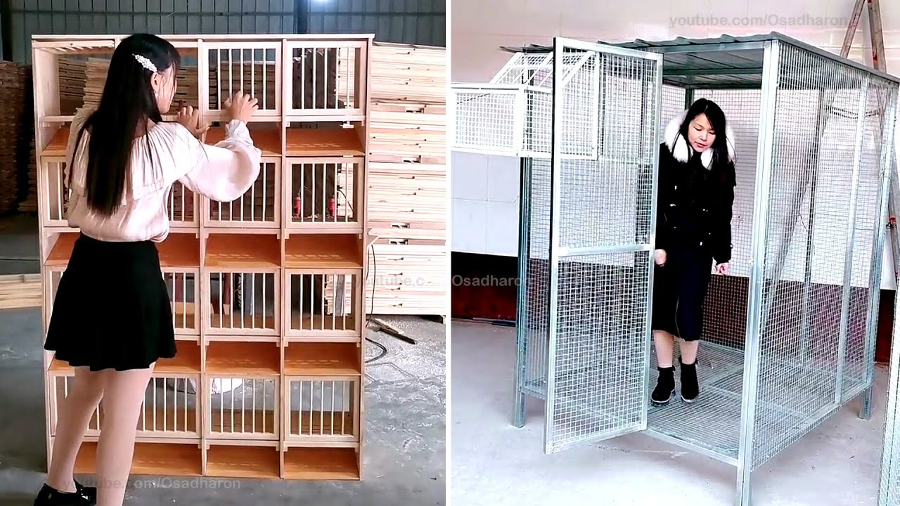 Smart and Modern Pigeon Loft Design 🏠