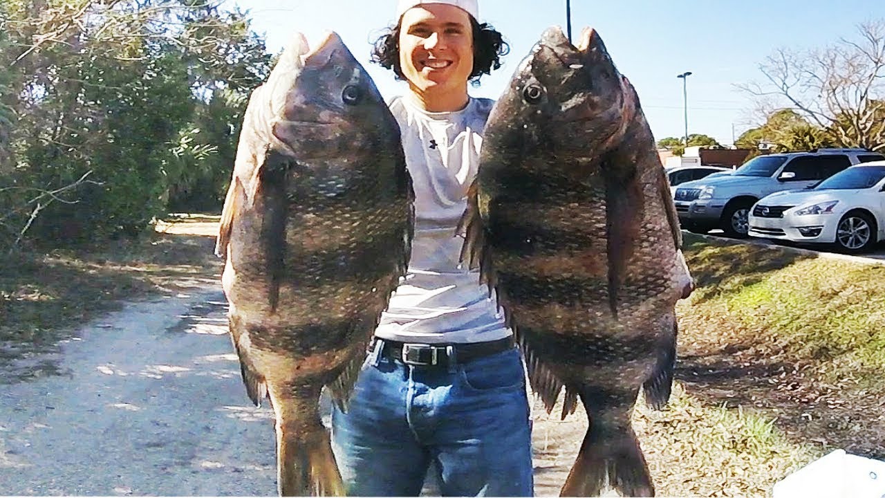 Kayak Fishing MONSTER Sheepshead Caught Inshore on Pilings!!! (Pensacola, FL) YouTube