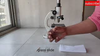 To Prepare Stained Temporary Mount of Human Cheek Cells with observation ( procedure in description)