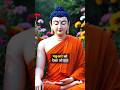 Compassion Over Killing | Buddha Saves Fish &amp; Teaches True Meaning of Life Story | #shorts #buddha