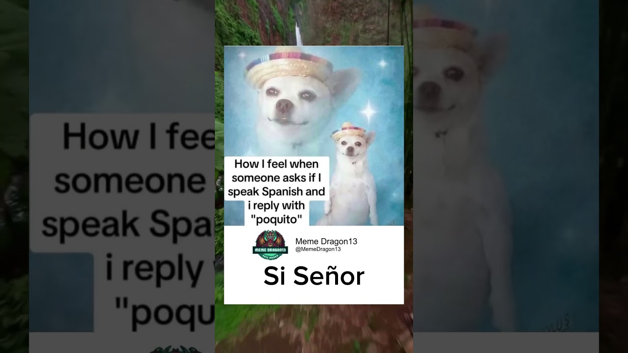 When you say 'poquito' Spanish 💀 