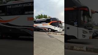 eh hujan gerimis aje,dav musical airhorn bus YMH TRANS #basuri #teloletbasuri #basuriairhorn #shorts