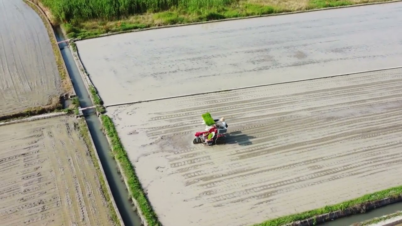 共立ポット乗用田植え機 - YouTube