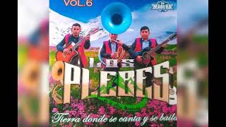 Video thumbnail of "Los Plebes de la Alta montaña vol.6 (nuevo extreno 2021)  Ñalo kivi"