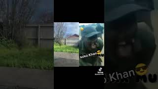 Download Lagu very funny #غوا#shreend#durrani MP3