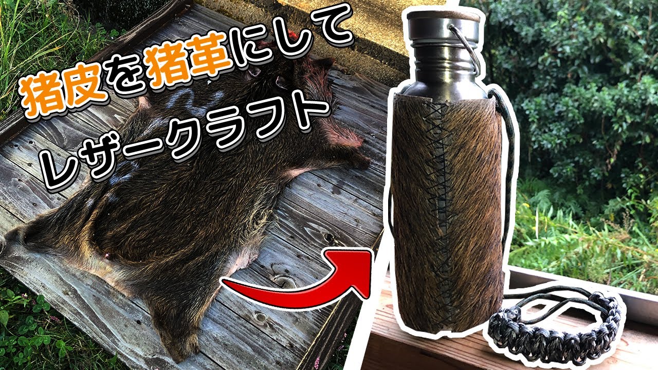 猪の毛皮をなめして水筒ホルダーを作る｜Tanning wild boa skin and