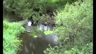 Level Coule A Guenin.