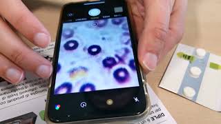 Blips Macro Lenses Tutorial