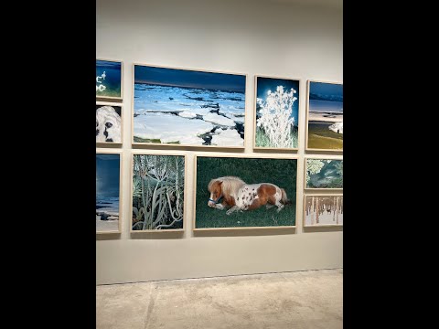 「遊歩する分人」アーティスト遠藤文香インタビュー