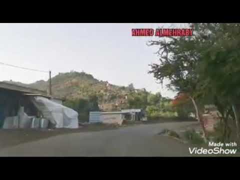 ايوب طارش وادي الضباب وناظر من اليمن الغالي 