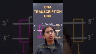 DNA TRANSCRIPTION UNIT #education #study #neet2024 #neetug2024 #onlinelearning #biology #studywithme