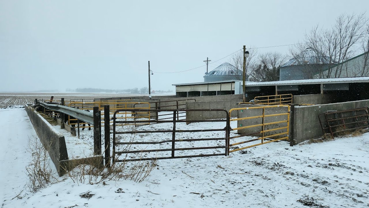 Cleaning Pens Behind The Bins