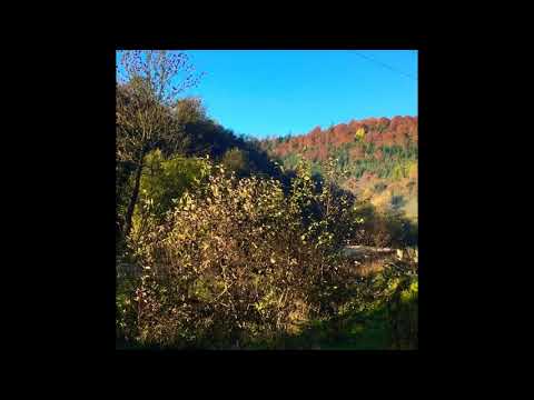 Осінь у Багнуватому 