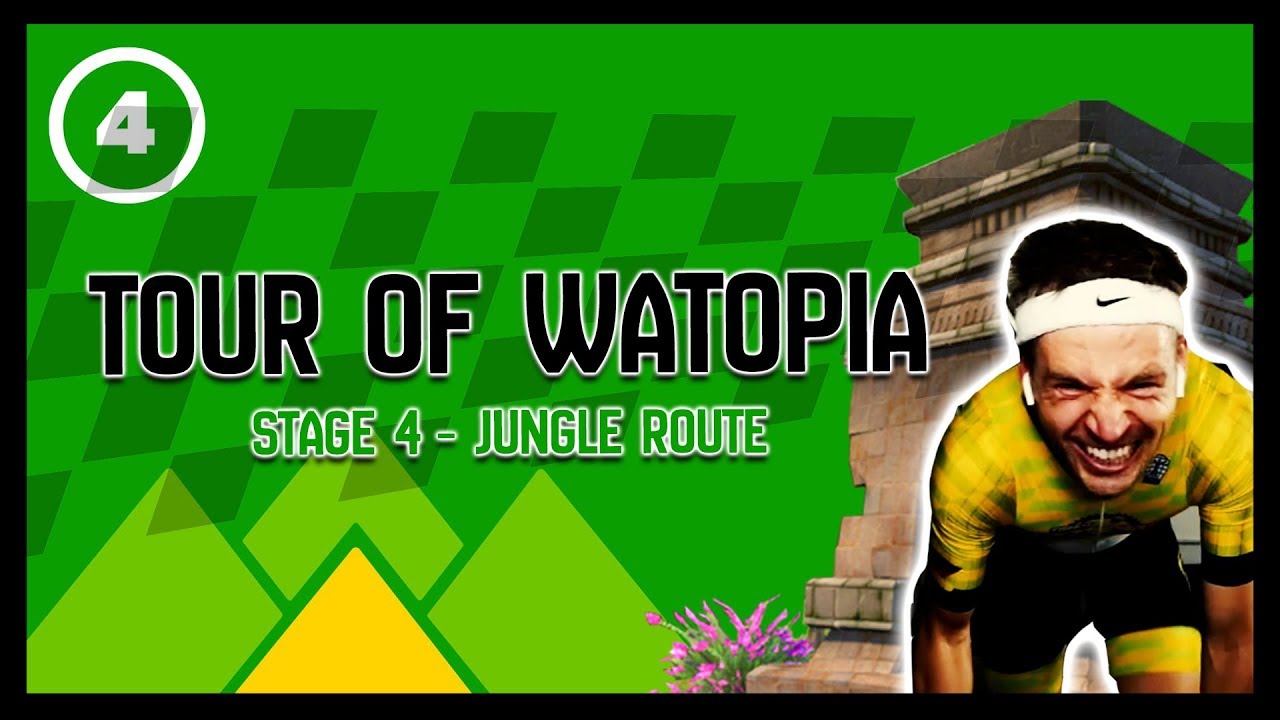 batavus utility bike