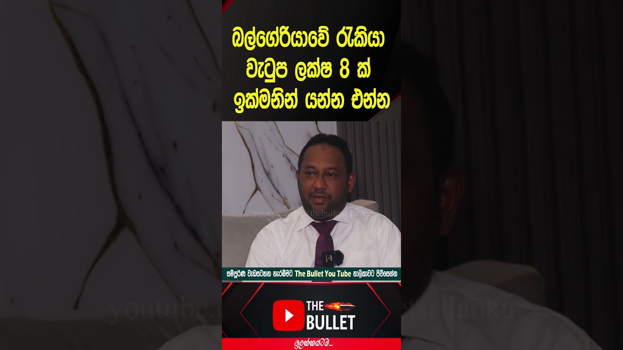 බල්ගේරියාවේ රැකියා වැටුප ලක්ෂ 8 ක් #thebullet #slbfe #balgeriyajobs #news #korean #shorts #dubai