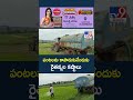 Water Problems : పంటలను కాపాడుకునేందుకు రైతన్నల కష్టాలు - TV9