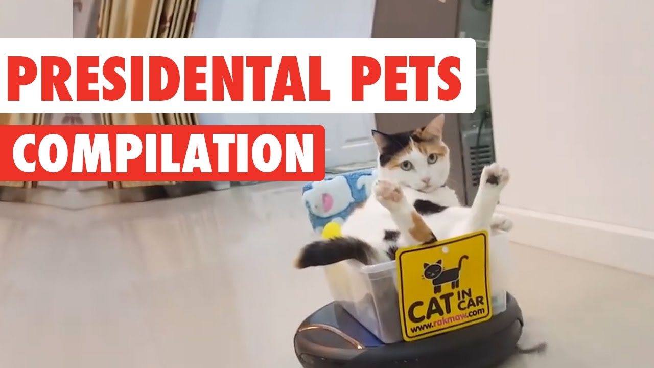 Presidential Pets Video Compilation 2016