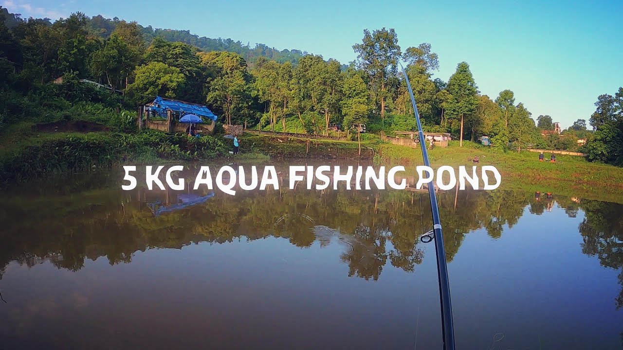 TEST DA U GRADE 5 KHYRWIT 5 KG NA PUNG PAITBAH AQUA FISHING POND