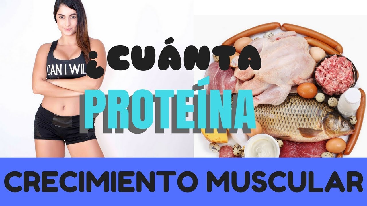 ¿Cuánta cantidad de proteína consumir 2018? - YouTube