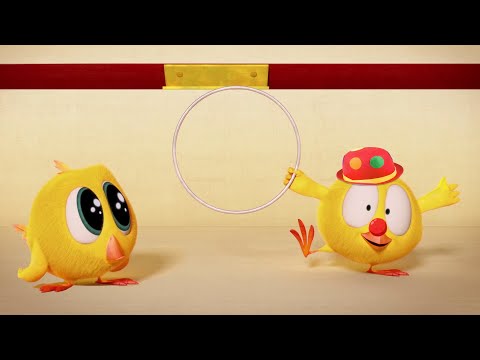 Где Чики? 🐥Чик! | Чики устраивает шоу! | Лучшие серии на русском языке