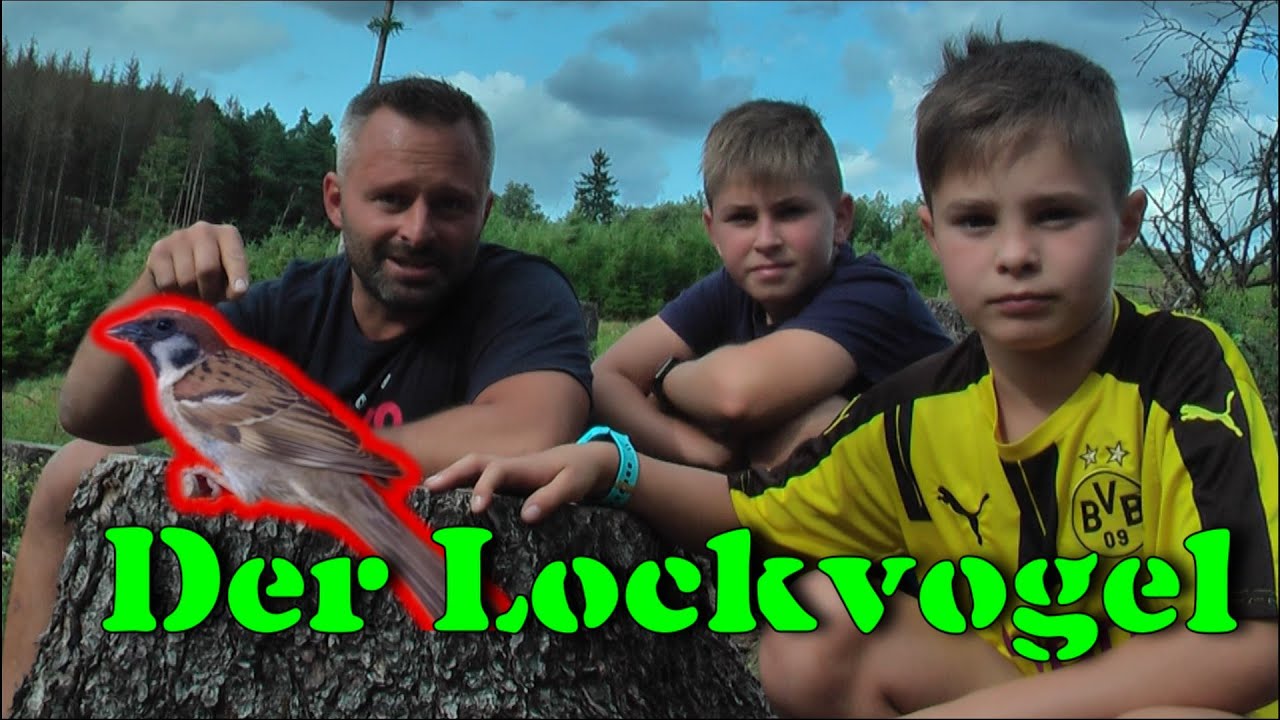 Wir wollen einen toten Spatz loswerden..... Abenteuer beginnt