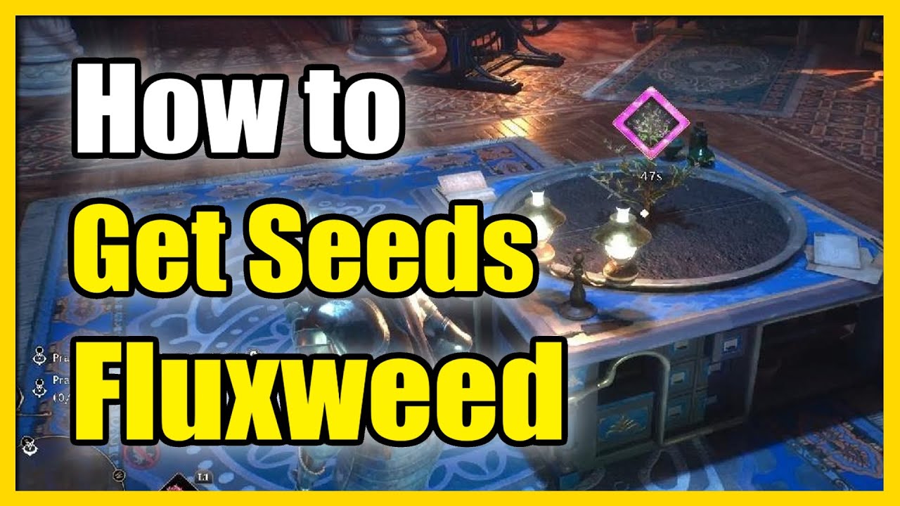 Hogwarts Legacy Fluxweed Stem Location – Where to Find the Seeds – Gamezebo
