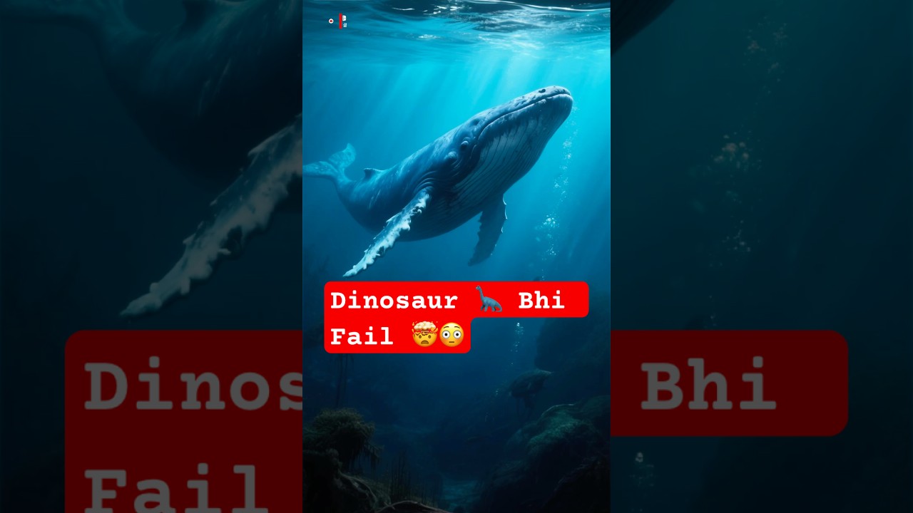 Duniya ka Sabse Bada Jaanwar😱| Daily Shocking Fact| Daily Animal Facts | 