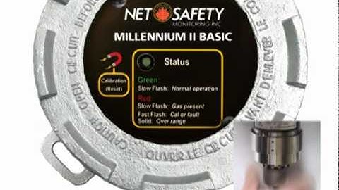 Net Safety Millennium II BASIC Sensors - Zero & Span