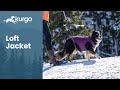 The Loft Jacket | Reversible, reflective, and stylish dog jacket