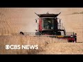 Iowa soybean farmer says "export to China just isn't there"