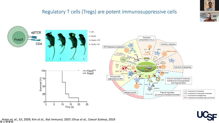 [Joshua Moreau] Regulatory T cells promote innate ...