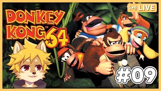 【DK64】元祖3Dドンキーコング #ドンキーコング64 超久しぶりにプレイ！ Part.9  / #dk64  #DonkeyKong64  #レア社 【べすれい】