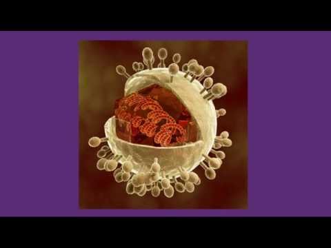 Video: Langsgående Analyse Af Det Perifere B-cellerepertoire Afslører Unikke Effekter Af Immunisering Med En Ny Influenzavirusstamme