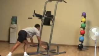 Famous Body Solid Deluxe Power Tower GVKR82 Review Profile