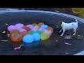 Spaz Attacks Water Balloons--Full Version