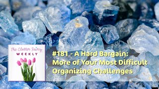 A Hard Bargain: More of Your Most Difficult Organizing Challenges  The Clutter Fairy Weekly #181