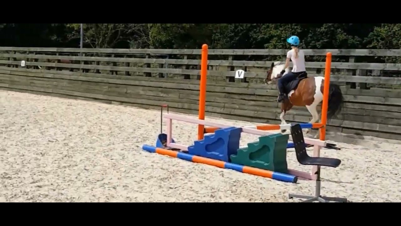 Small Jump Course Me and grace doing a mini jumping course in summer 2022! ( luckily I ...