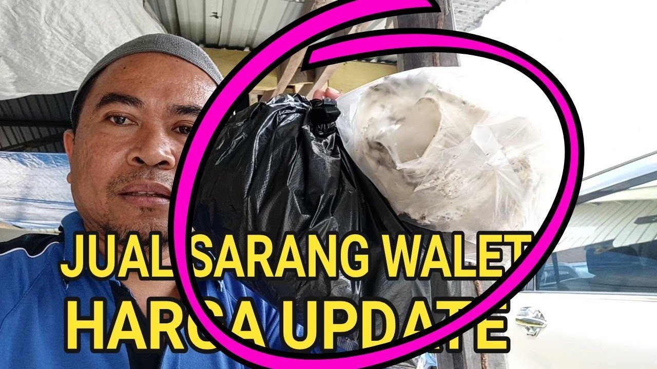 JUAL SARANG WALET DAN INI HARGA UPDATE SAAT INI 
