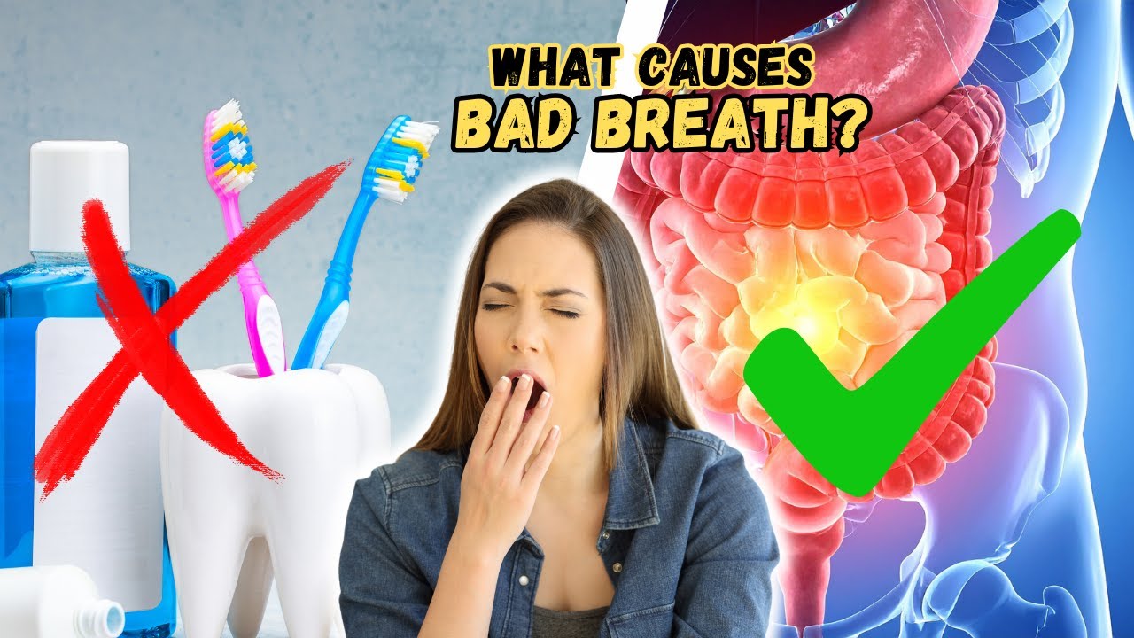 Your Bad Breath Isn’t because of your Toothpaste choice — It’s From Your Stomach