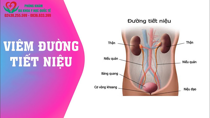 Nguyên nhân nhiễm trùng đường tiểu ở phụ nữ