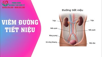 Bệnh viêm đường tiết niệu ở nữ: Nguyên nhân, triệu chứng và cách điều trị