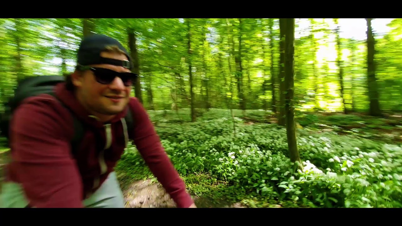 Nature - Amsterdamse Bos MTB (2020)