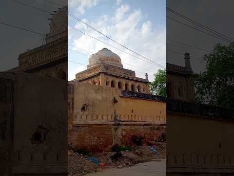 Alwar 📍#viral #travel #alwar #youtubeshorts #trending #lifeisbutadream